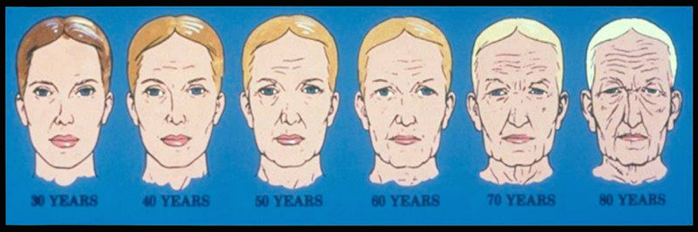 age progression face fixed